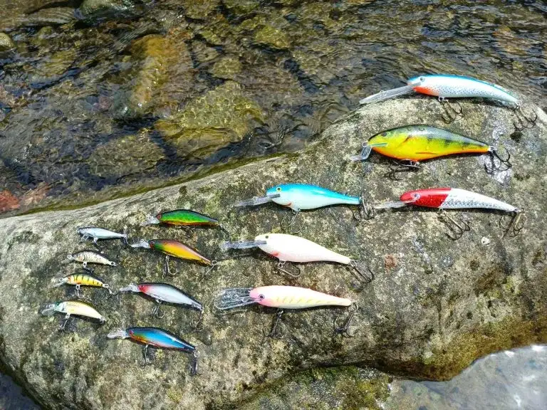 Przynęta - Jak wybrać najlepszą przynętę do wędkowania i złapać ryby