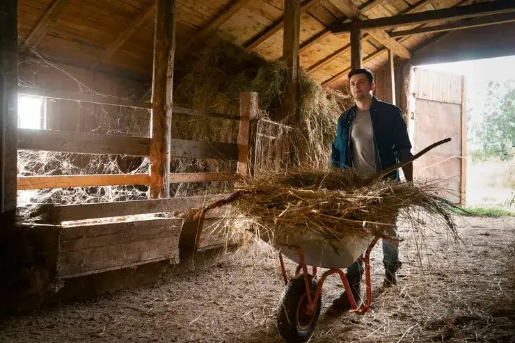 Ile kosztuje budowa stodoły? Sprawdź ukryte koszty i oszczędności