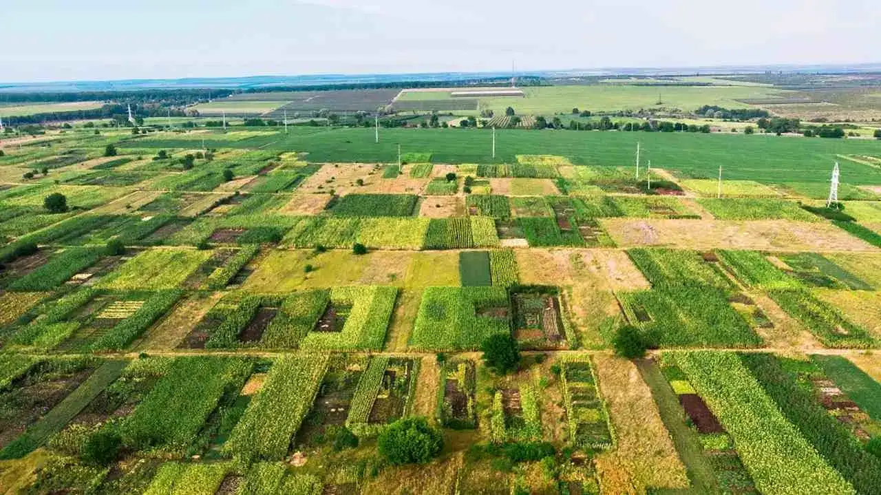 Jak sprawdzić właściciela gruntu i uniknąć nieprzyjemnych niespodzianek