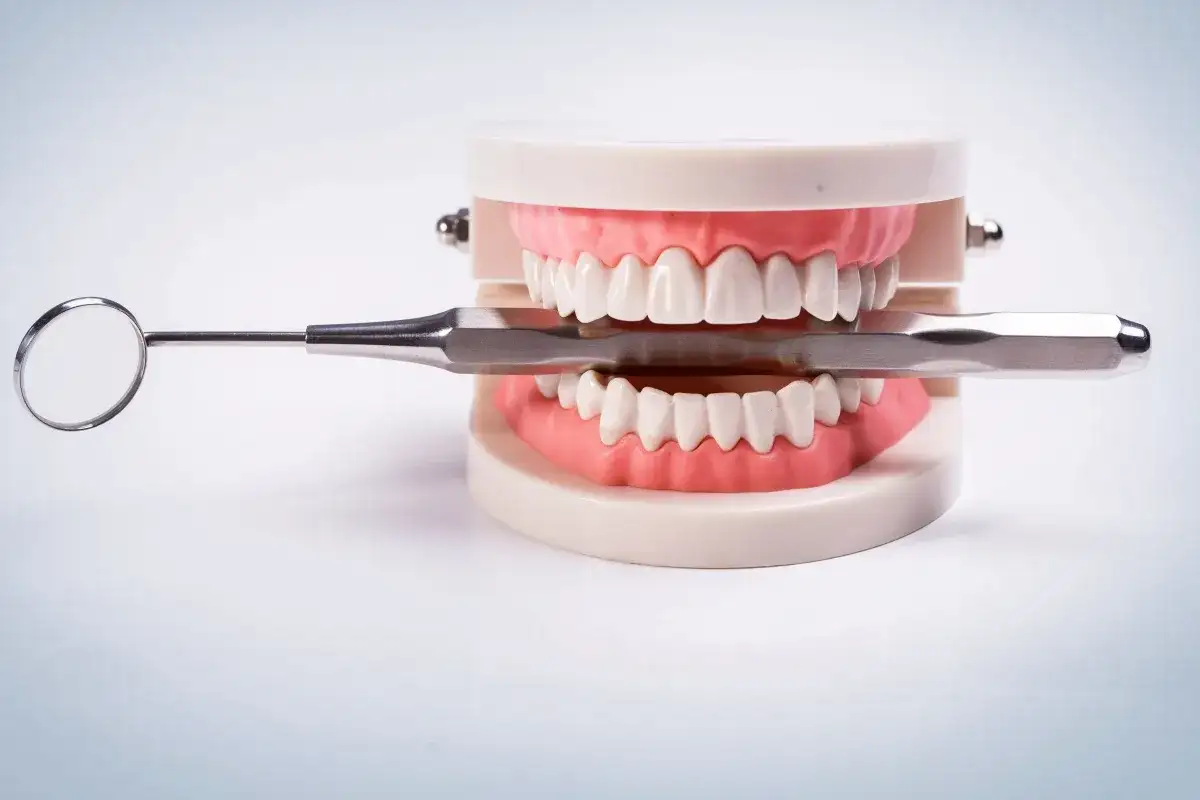 Ile zębów ma dwulatek? Norma, ból i higiena poradnik dla rodziców