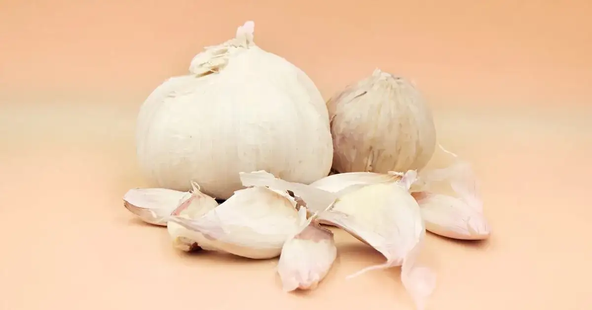 Czosnek jest zdrowy: 7 korzyści i ukryte zagrożenia dla zdrowia