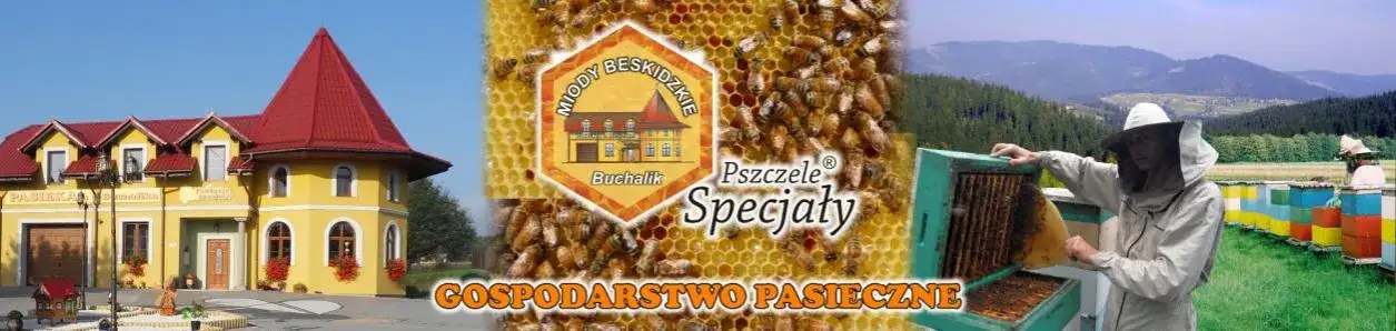 Ile kosztuje słoik miodu? Sprawdź ceny i różnice regionalne