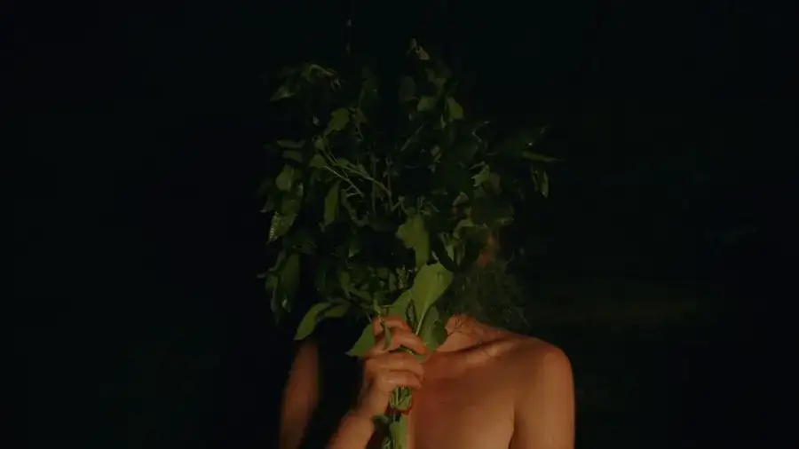 Recenzja Siostrzeństwo Świętej Sauny, jak wypada nowy film z 2023 roku?