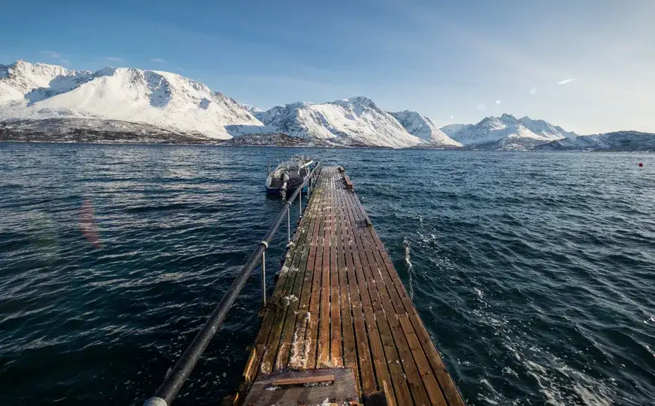 Najlepsze atrakcje w Tromsø, które musisz zobaczyć podczas wizyty