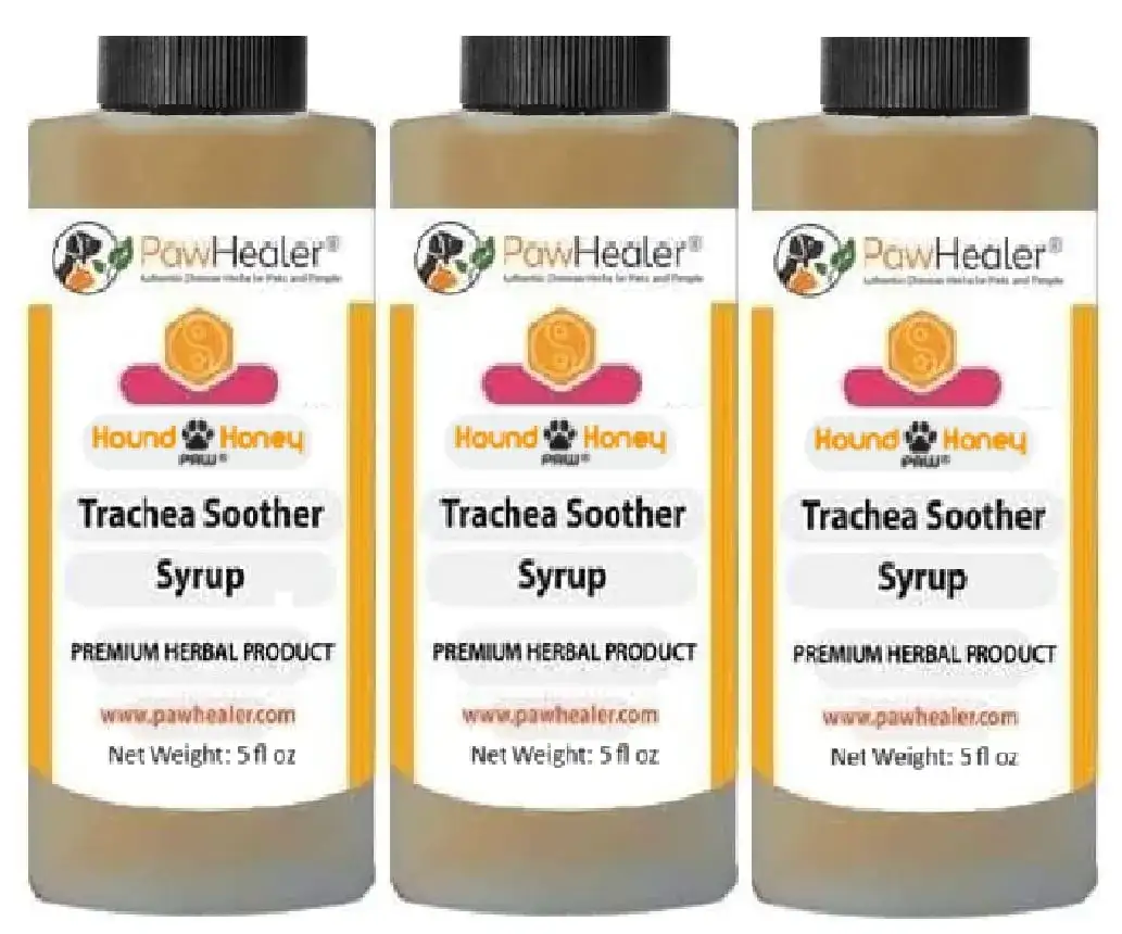 Najlepszy syrop na kaszel dla psa - ulga w kaszlu i zdrowie pupila