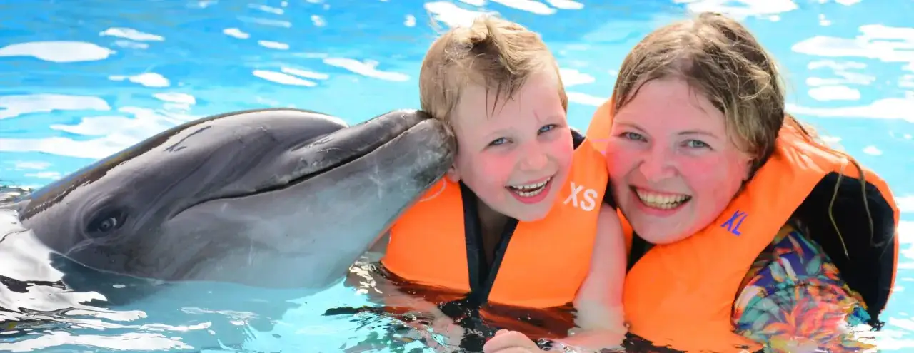 Pływanie z delfinami: Gdzie i jak spełnić marzenie odpowiedzialnie?