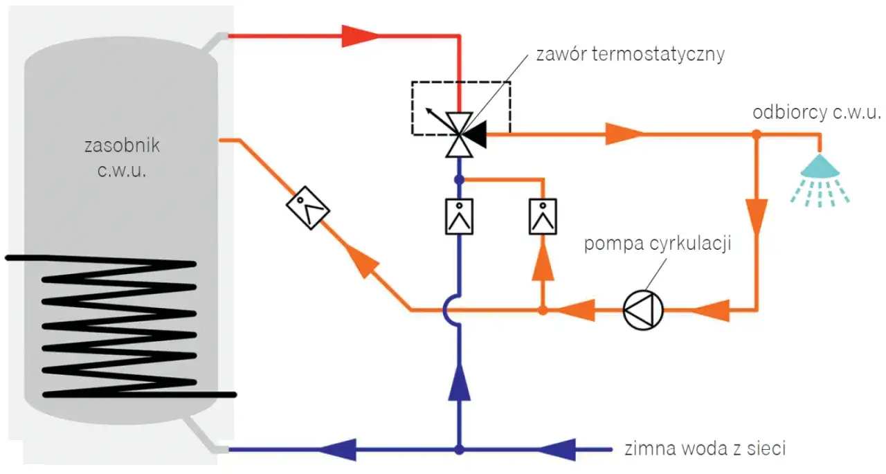 Schemat cyrkulacji cwu: zasobnik, pompa, zawór termostatyczny i odbiorcy. Zimna woda z sieci zasila system.