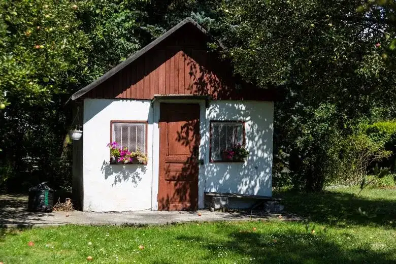 Kiedy nawozić trawnik wiosną? Poradnik eksperta Karol Wiśniewski