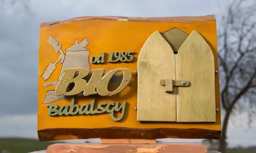 Wytwórnia Makaronu Biobabalscy: najlepszy producent ekologicznych makaronów