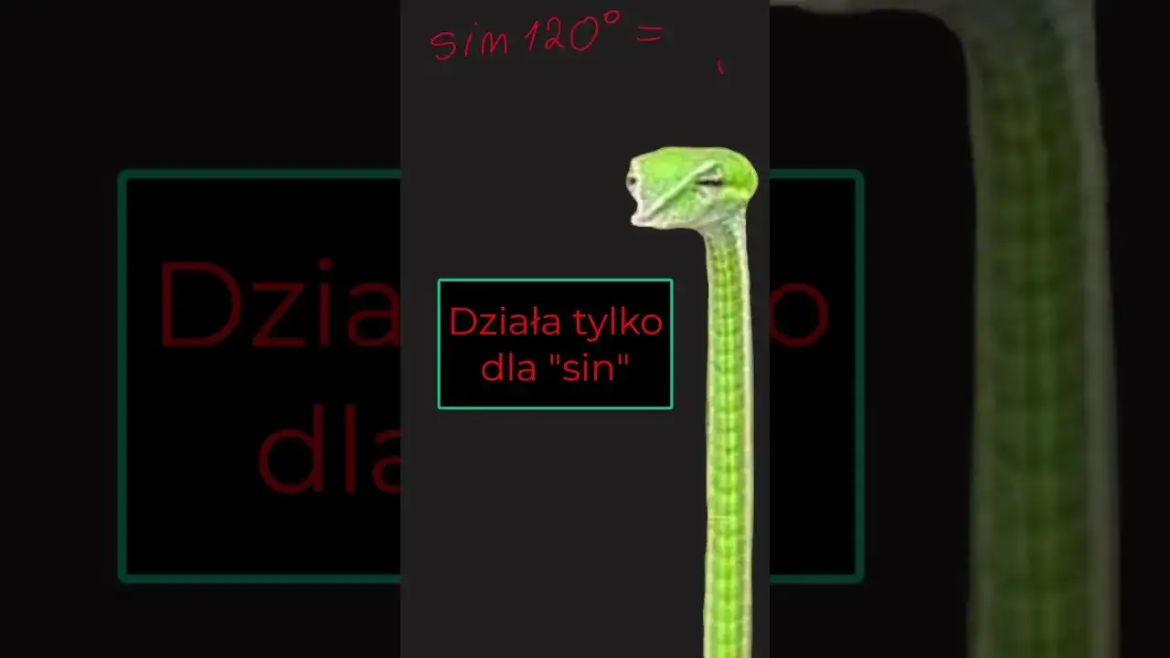 Jak obliczyć pole trójkąta rozwartokątnego - proste metody i przykłady