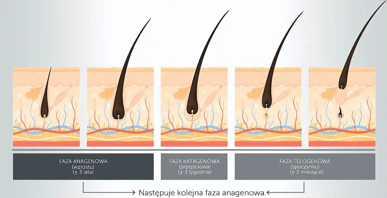 Optymalna długość włosków do depilacji woskiem: 5-10 mm?