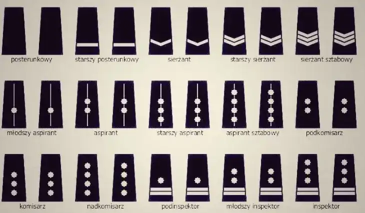 Ile zarabia sierżant sztabowy w policji? Zaskakujące fakty o wynagrodzeniu