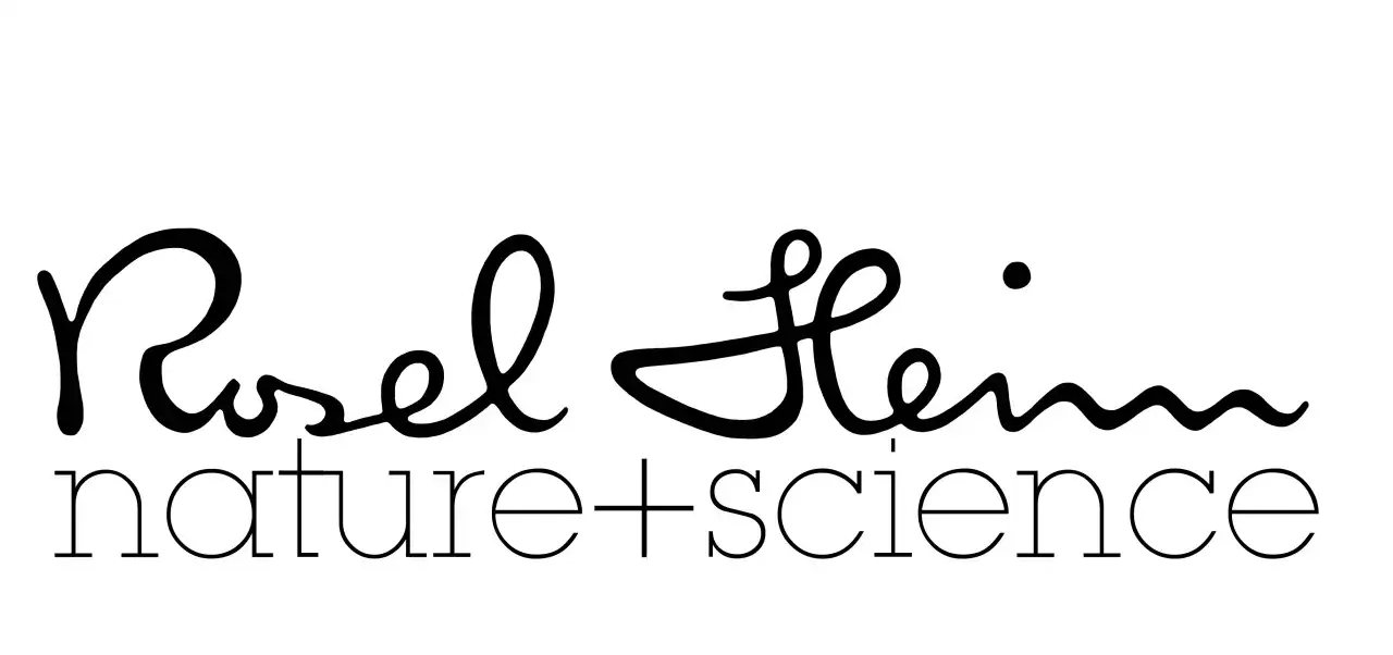 Rosel Heim Kosmetik: Reguläre Hauttherapie & Beratung für Ihre Haut