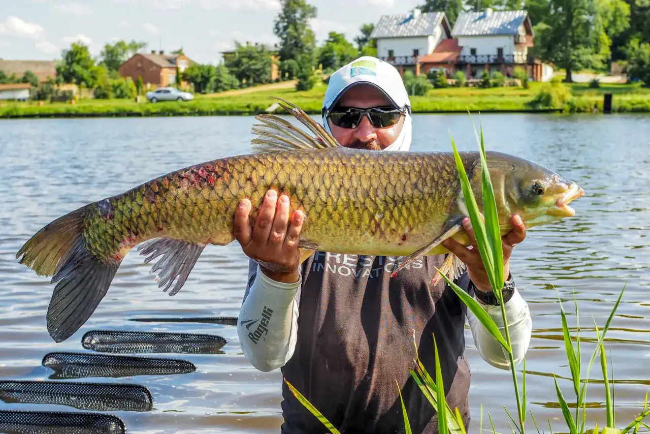 Rosówka na haczyku: 4 metody, haczyk i błędy. Łów grube ryby!