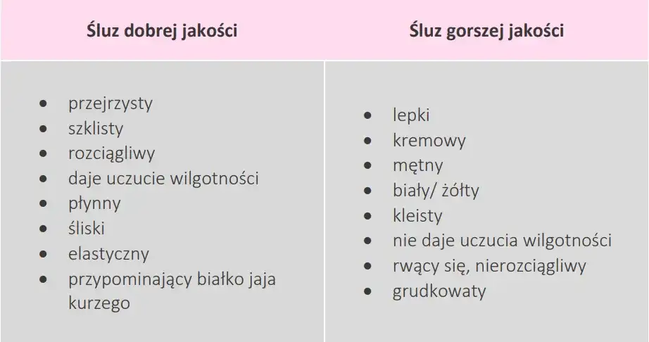 Jaki śluz po owulacji? Zmiany, które mogą zaskoczyć każdą kobietę