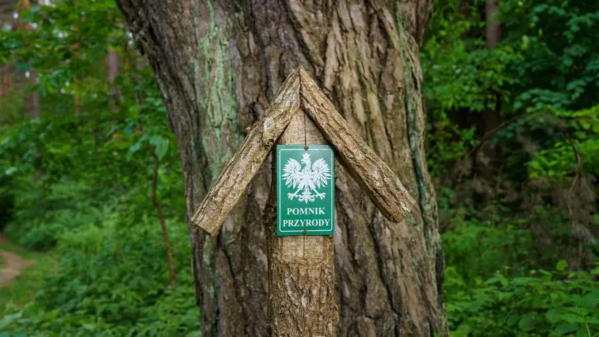 Wysokie Mazowieckie atrakcje, które zaskoczą każdego turystę