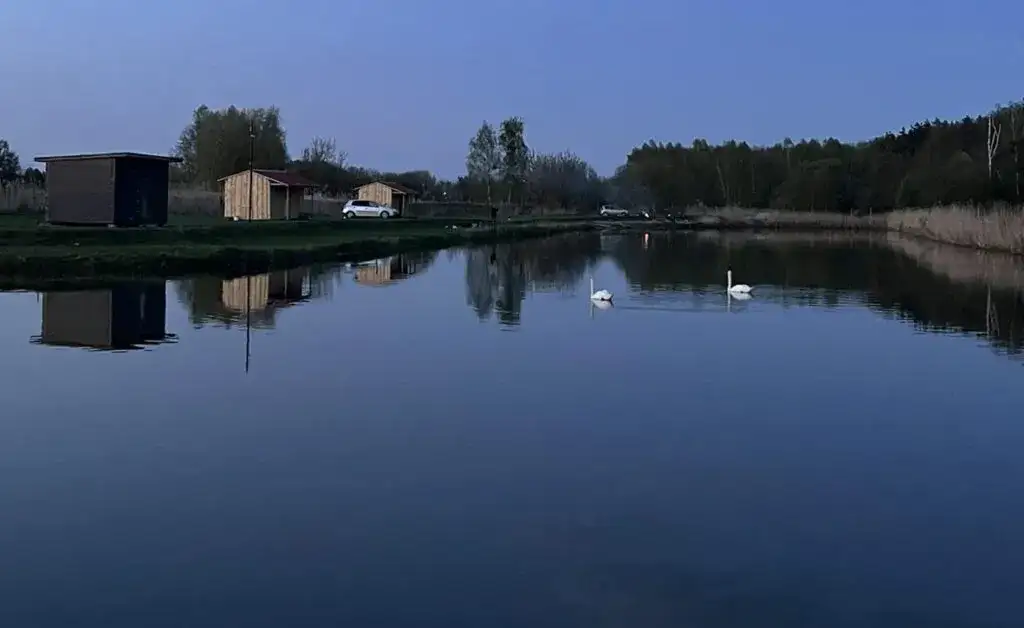 Łowisko komercyjne w Maciejowicach - idealne miejsce na wędkowanie