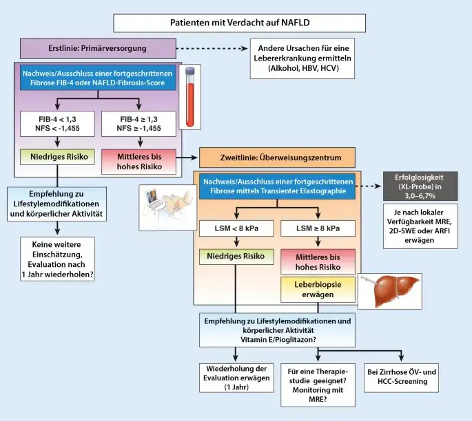 Leberzirrhose Diagnostik: Wichtige Tests und Verfahren zur Früherkennung
