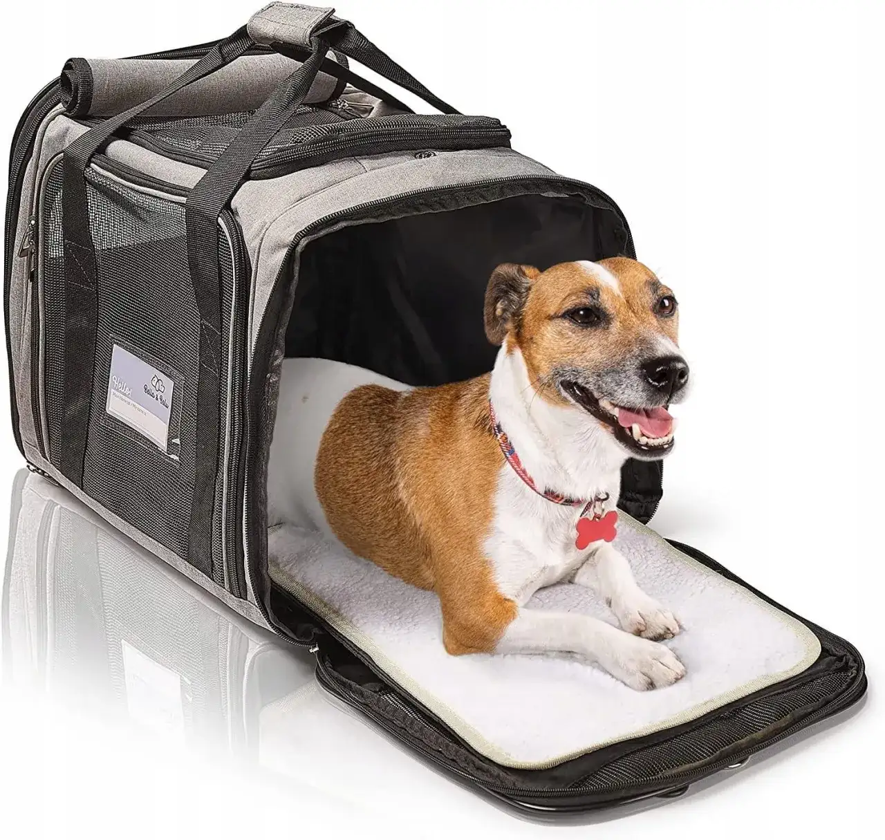 Najlepsze transportery dla psa do 10 kg – komfort i bezpieczeństwo w podróży