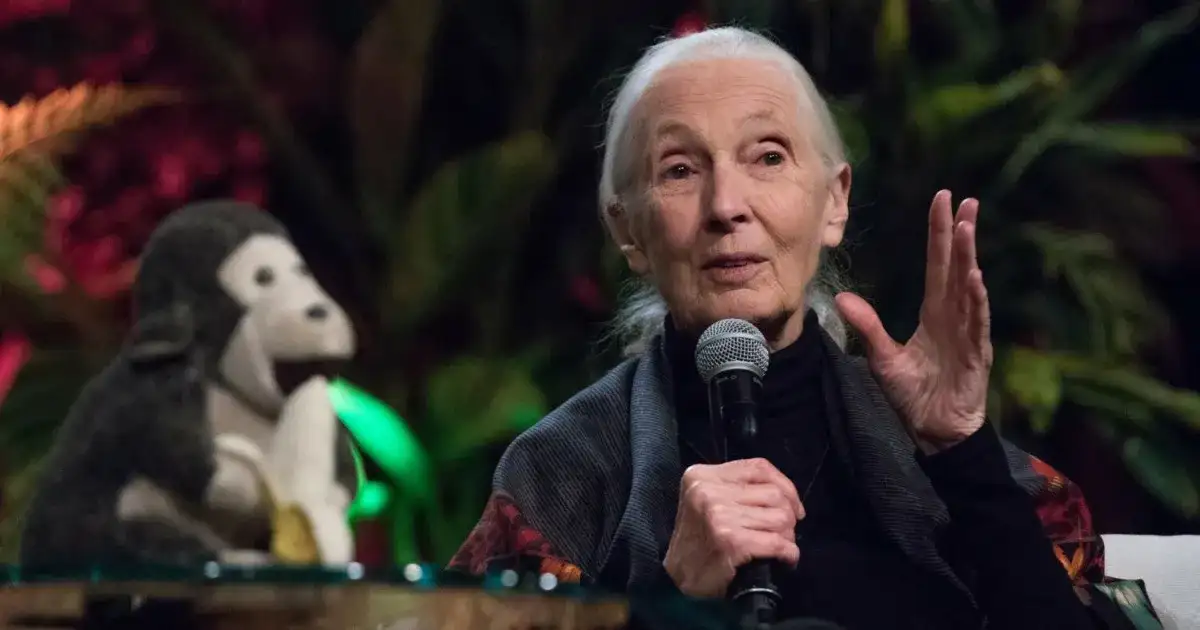 Czy zwierzęta mają duszę w Biblii? Teologiczne wątpliwości i odpowiedzi.