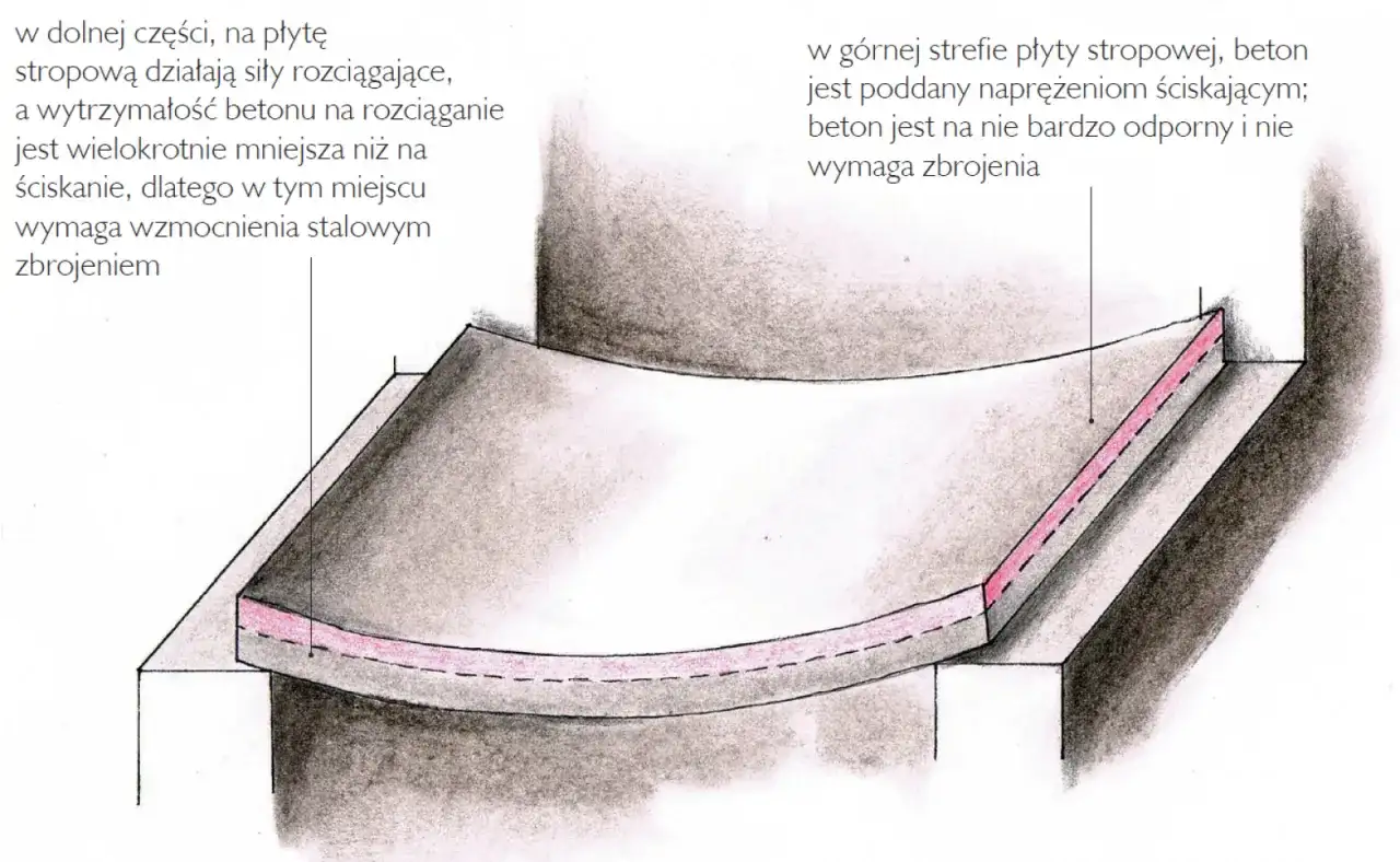 Ilustracja przekroju stropu pokazująca naprężenia rozciągające i ściskające oraz zbrojenie.