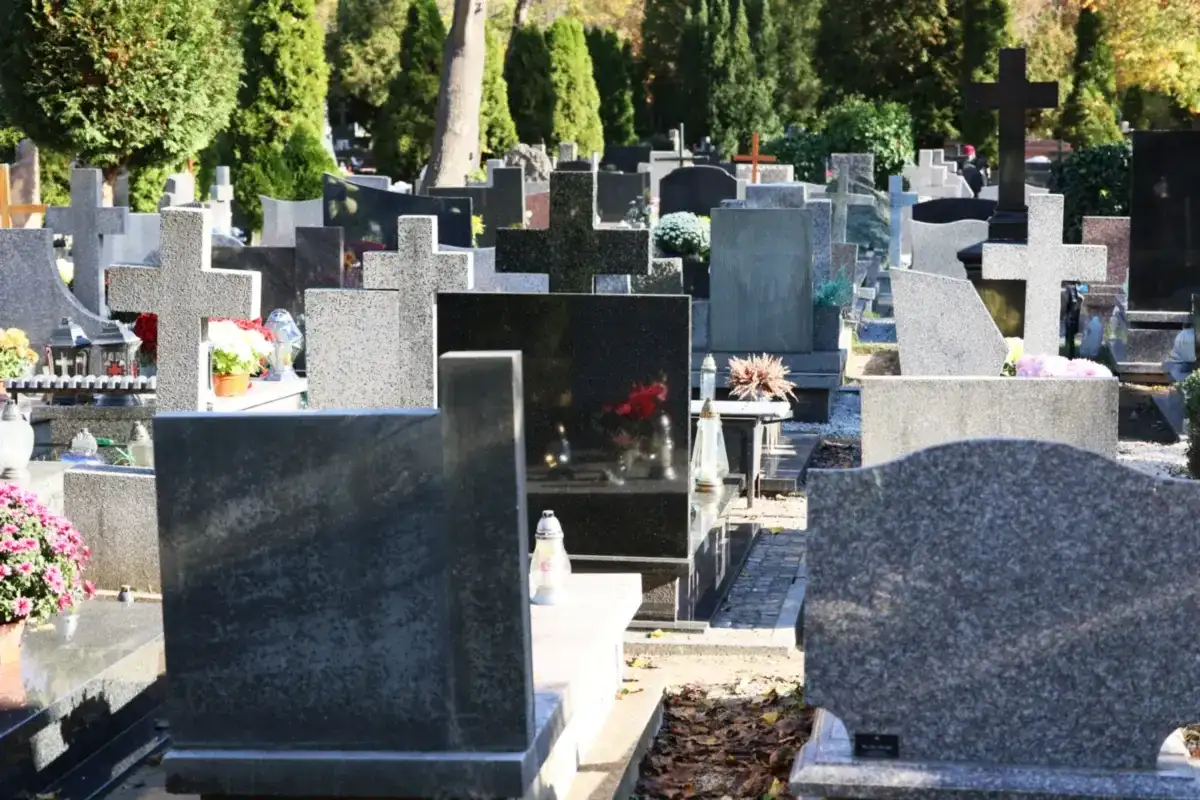 Jak dojechać na Cmentarz Północny - uniknij problemów z dojazdem