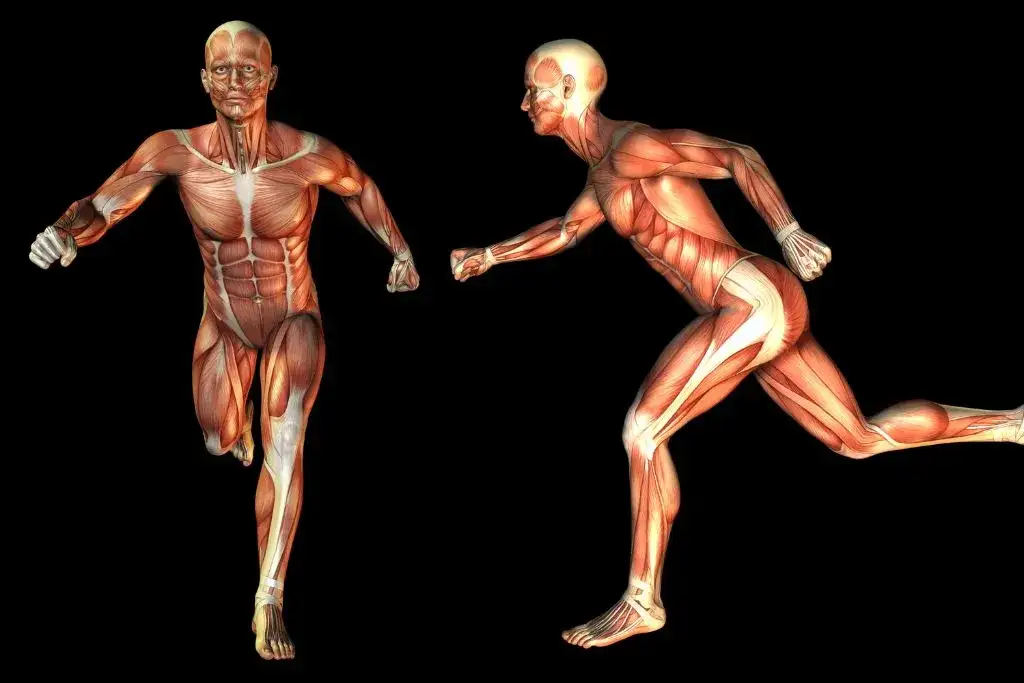 Jak bieganie zmienia ciało? Wymodeluj sylwetkę i spal tłuszcz!