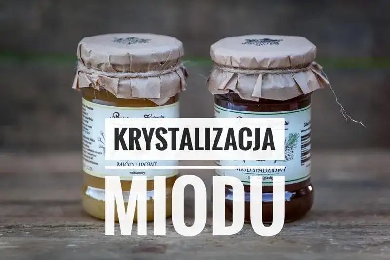 Jak długo krystalizuje się miód lipowy i co warto wiedzieć?