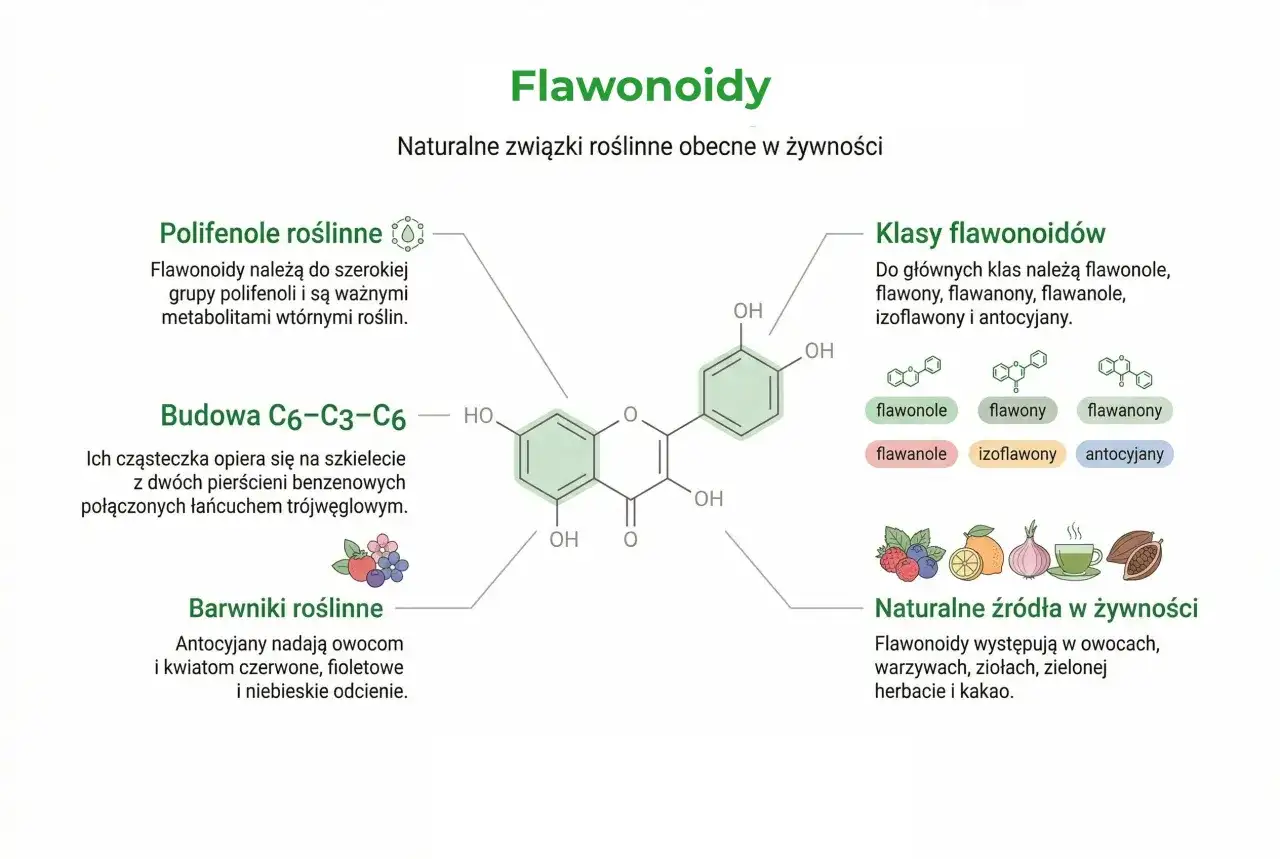 Bioflawonoidy co to? To naturalne związki roślinne, występujące w owocach, warzywach, ziołach, herbacie i kakao.