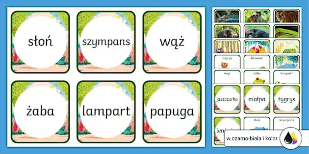 Nauka rozpoznawania programów TV: dopasuj nazwy do opisów