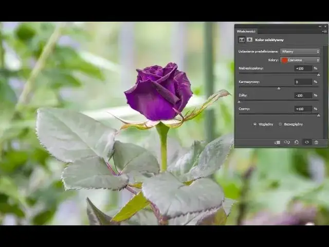 Inwersja kolorów w Photoshopie: szybkie skróty i profesjonalne techniki