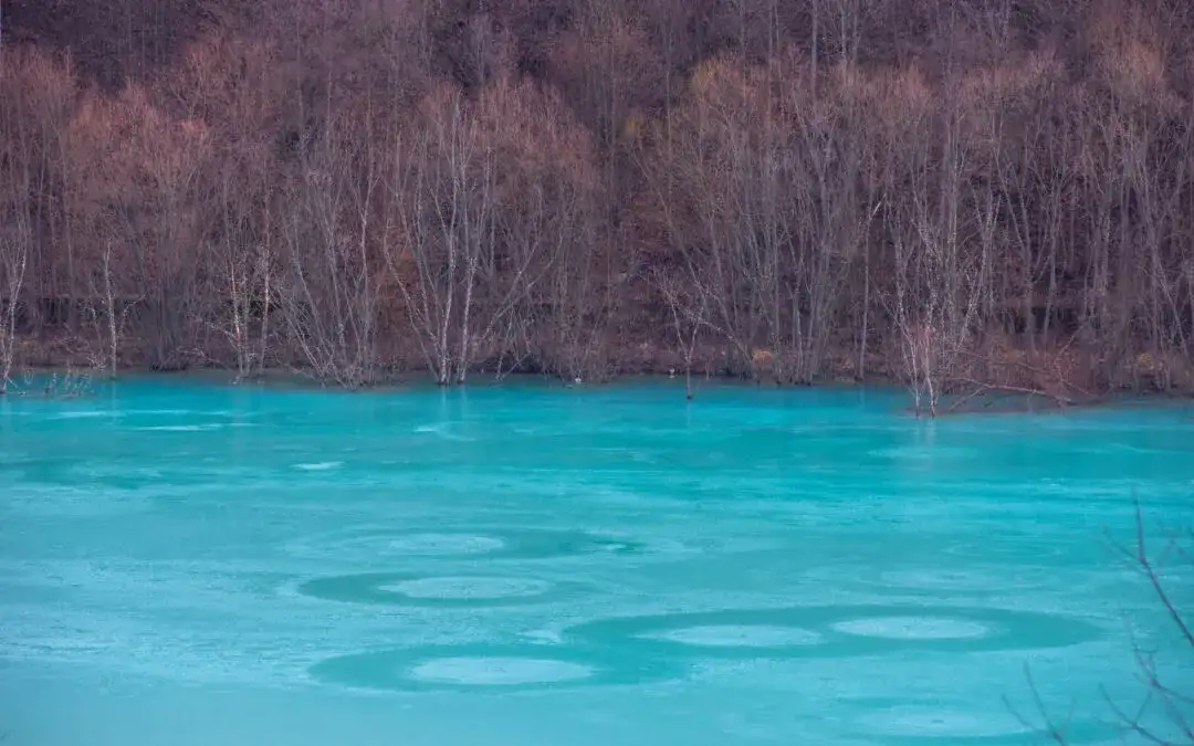 Rezerwat przyrody Niebieskie Źródła – informacje, które musisz znać