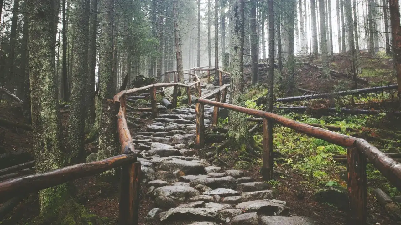 Kamienna ścieżka pod reglami, wijąca się wśród mglistego lasu. Drewniane poręcze prowadzą w górę, wśród omszałych drzew i powalonych pni.