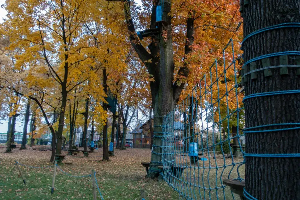 Najlepsze atrakcje w Goczałkowicach-Zdroju, które musisz zobaczyć