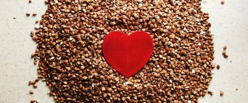 Kasza gryczana podczas karmienia piersią: korzyści i zalecenia