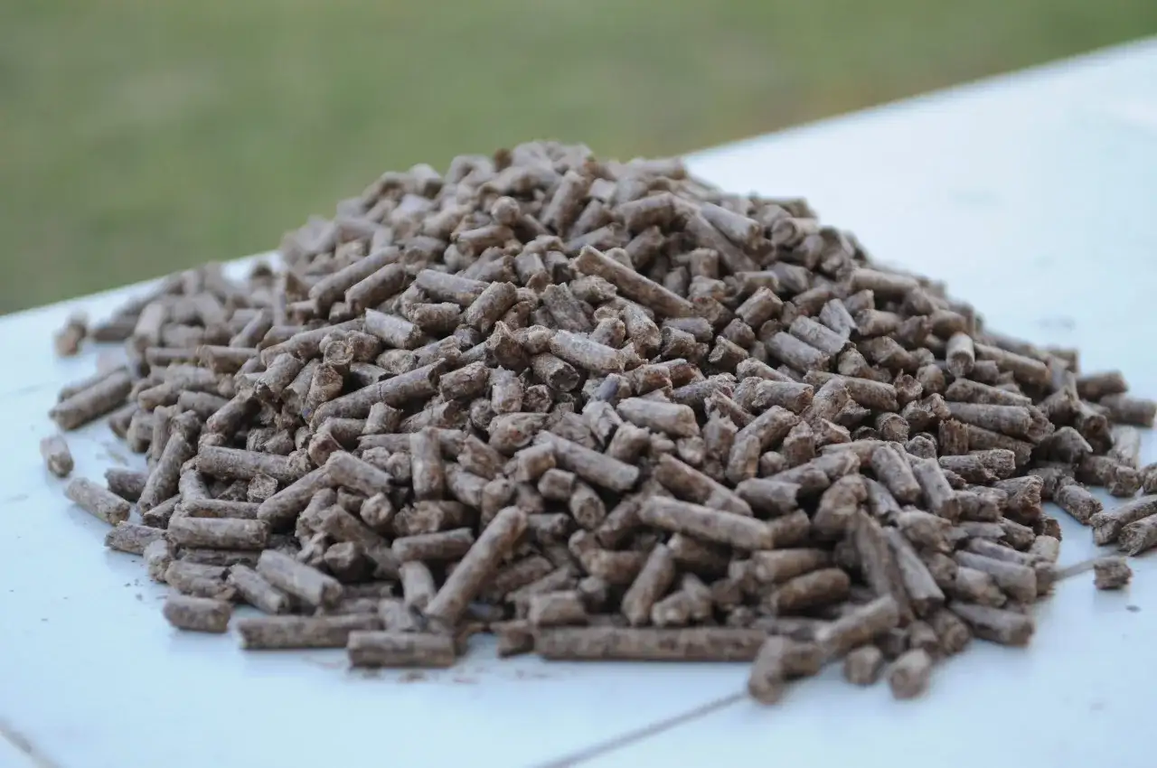 Góra drobnych, brązowych pelletów, idealnych jako dodatek do pelletu, leży na białej powierzchni.