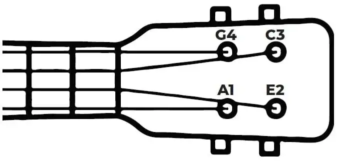 Jak nauczyć się grać na ukulele - proste kroki dla początkujących