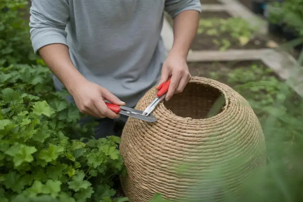 Jak naprawić kokon ogrodowy szybko i samodzielnie: podstawowe techniki