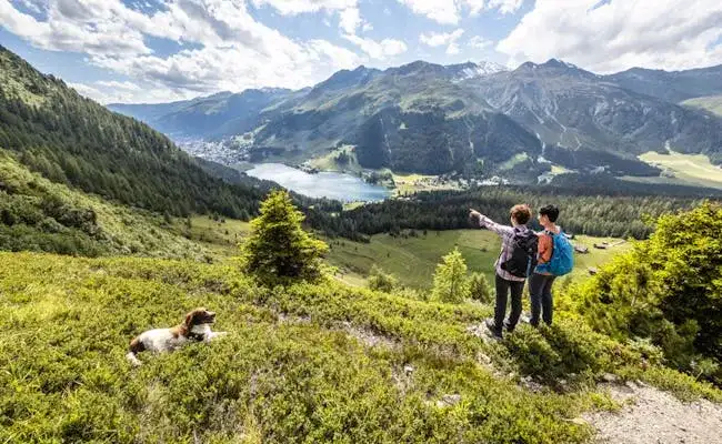 Najlepsze atrakcje w Davos: co warto zobaczyć latem i zimą