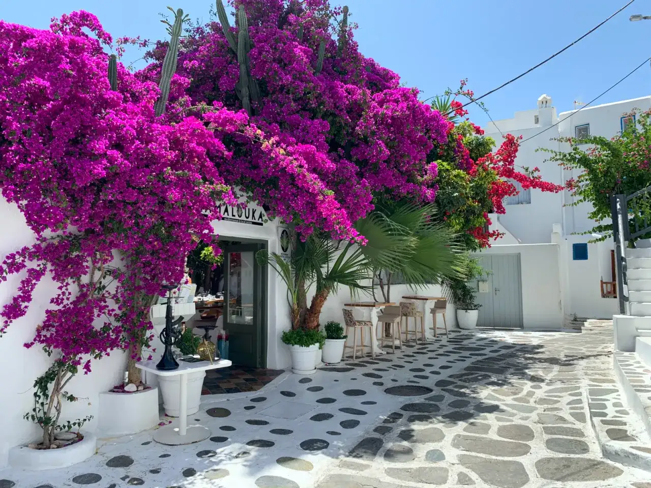 Najlepsze atrakcje na Mykonos, które musisz zobaczyć podczas wizyty