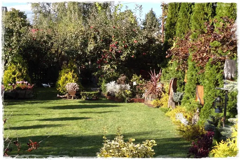 Twój sad marzeń: jak rozplanować drzewa owocowe krok po kroku?