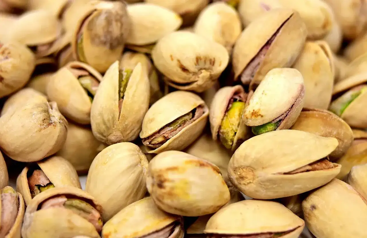 Mnóstwo łuskanych pistacji, które choć botanicznie są pestkowcami, często traktujemy jako orzechy.