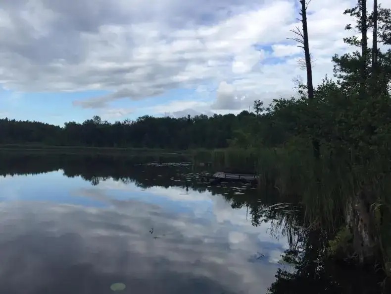 Jezioro Bolechowskie: ukryty skarb Puszczy Zielonki czeka na Ciebie