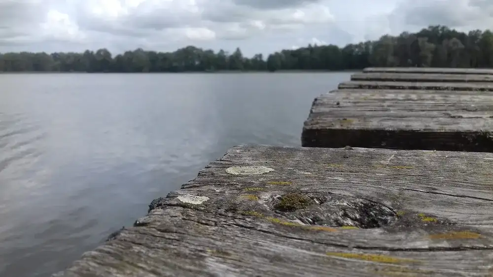 Jezioro Małszewskie: piękne miejsce na wędkowanie i relaks w naturze