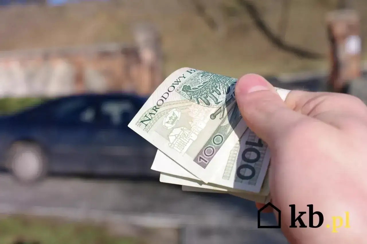 Limity gotówki za auto: 15 000 zł, 10 000 euro i co dalej?