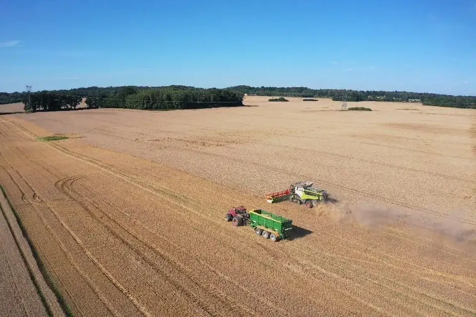 Gospodarstwa rolne w Polsce: Jakie są największe i najbardziej znane farmy?