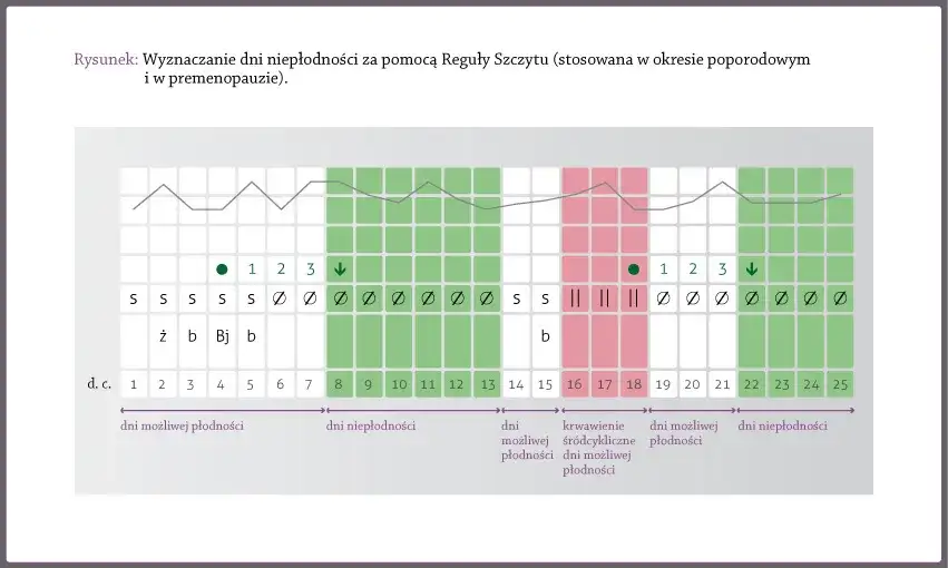 Owulacja: 12-24h. Jak rozpoznać dni płodne i sygnały ciała?