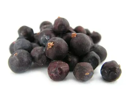 Gdzie kupić jałowiec przyprawa? Sprawdzone sklepy i oferty