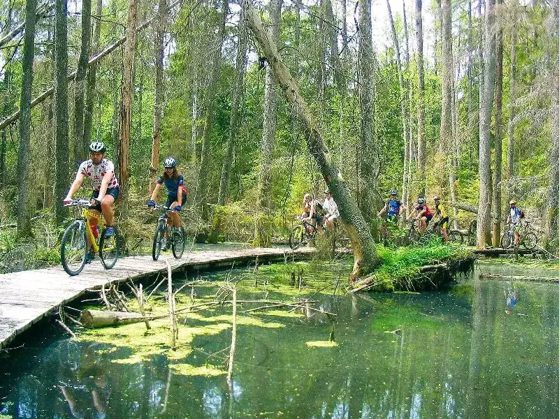 Biebrzański Park Narodowy: najlepsze trasy rowerowe i ich atrakcje