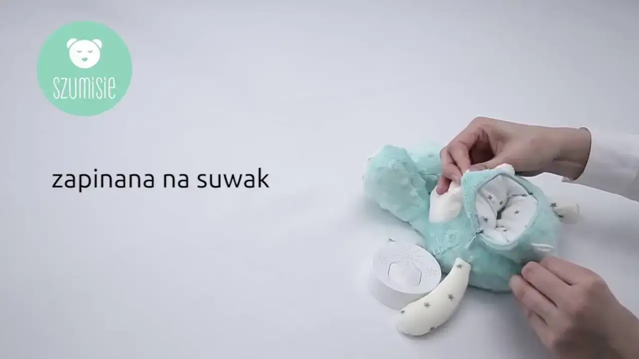 Szumiś zamilkł? Napraw, wymień, kup nowy mechanizm poradnik